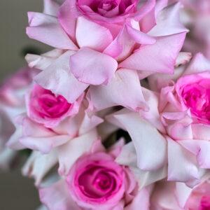 Bukiet Pink heaven